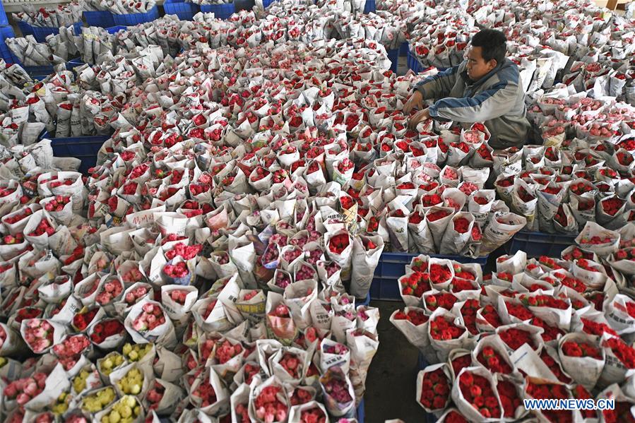 CHINA-NINGXIA-YINCHUAN-FLOWER (CN)