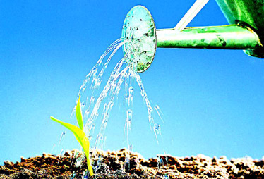 【2月10日】民辦非營利事業單位是否可享受稅收優惠?