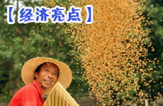 夏糧豐收 經(jīng)濟(jì)亮點(diǎn)提振信心