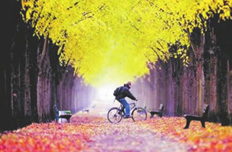 國(guó)家旅游局:旅游業(yè)向民間資本全方位開(kāi)放