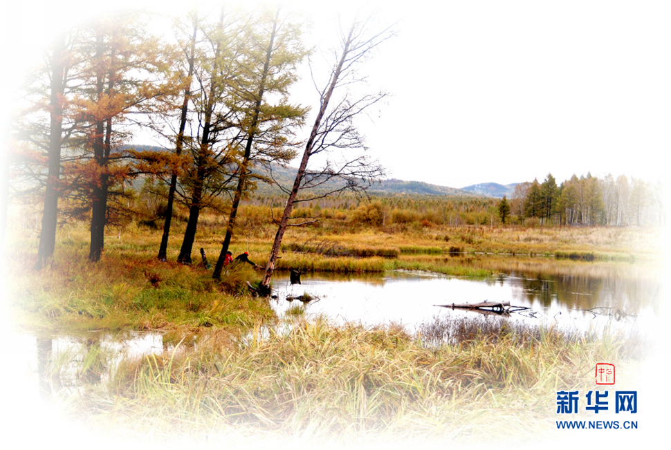 無(wú)盡畫(huà)意鏡頭中: 野色金秋