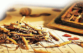 國家鼓勵中醫藥科技創新