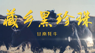 溯源中國名品推薦&middot;藏鄉黑珍珠