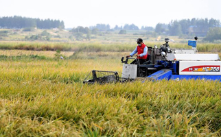 40年，小崗人的18個&ldquo;第一次&rdquo;