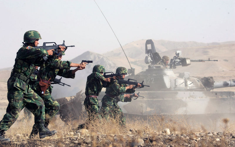 李翔作品：&ldquo;協作-2006&rdquo;中塔聯合反恐軍事演習