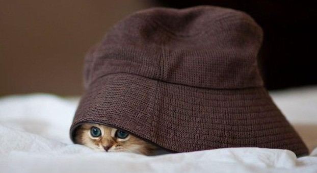 老外搞怪！facebook插圖欣賞(組圖)