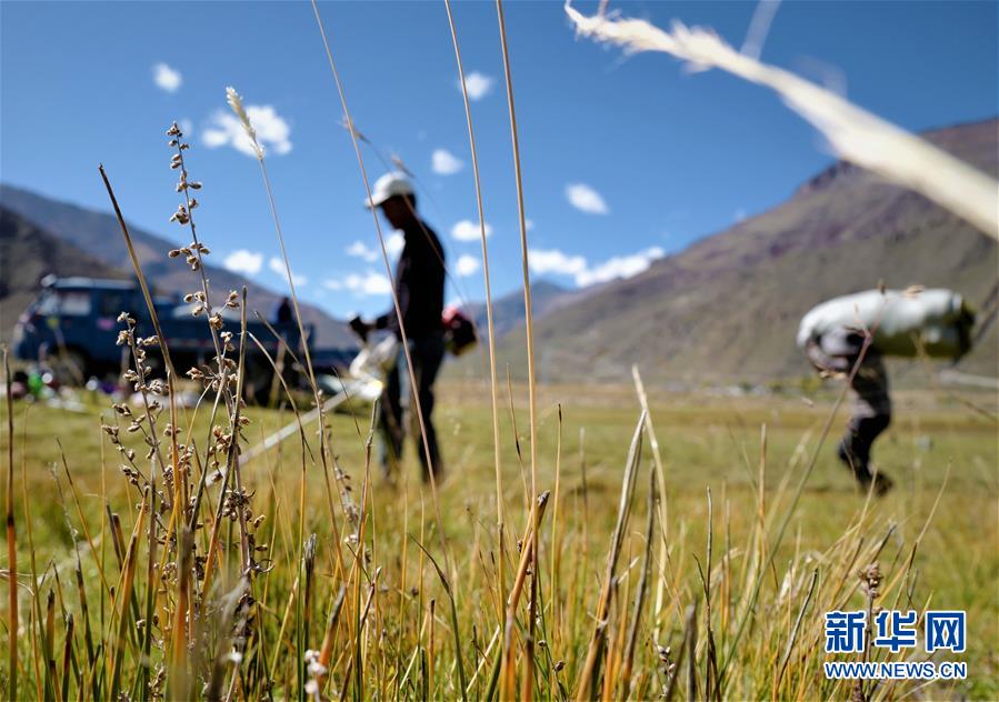 （社會(huì)）（2）西藏：牧草豐收儲&ldquo;冬糧&rdquo;