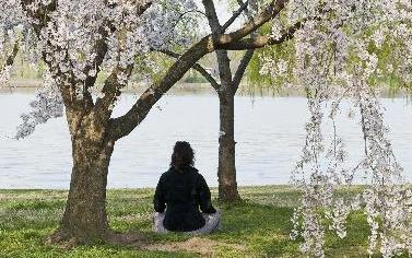 一周看點(diǎn)：奧巴馬敦促朝停止&ldquo;好戰(zhàn)做法&rdquo; H7N9病人轉(zhuǎn)為陰性