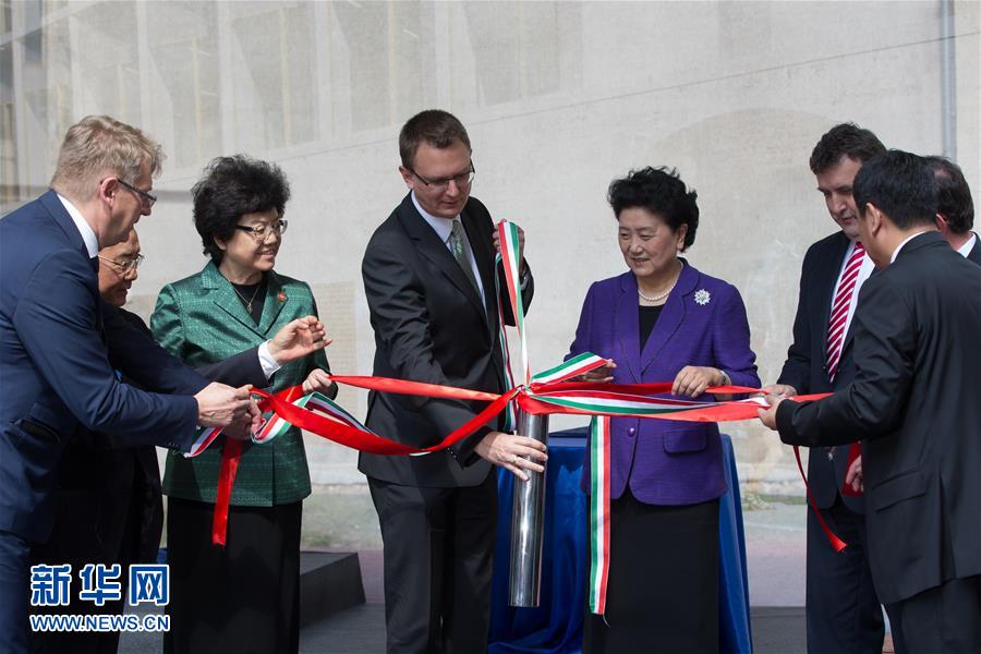 （XHDW）（1）劉延東：推動中醫藥合作成為促進中匈衛生合作和人文交流的亮麗&ldquo;名片&rdquo;