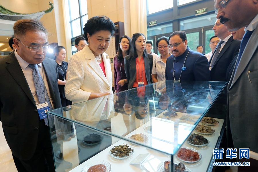 7月6日，金磚國家衛(wèi)生部長會暨傳統(tǒng)醫(yī)藥高級別會議在天津開幕。這是國務(wù)院副總理劉延?xùn)|與外賓一起參觀傳統(tǒng)醫(yī)藥文化展。 新華社記者 張玉薇 攝