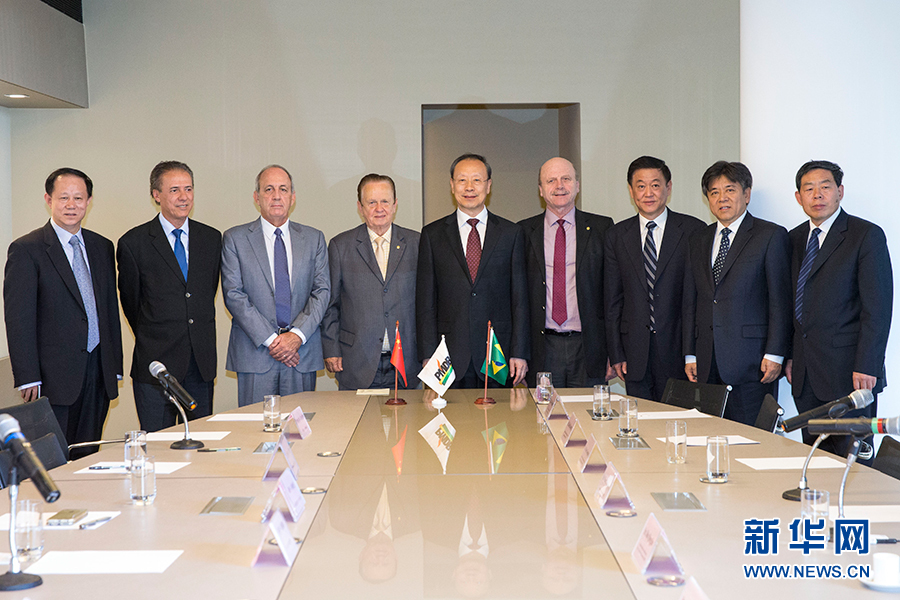 7月11日，在巴西首都巴西利亞，中共中央書記處書記、全國政協(xié)副主席杜青林（中）會見巴西民主運動黨總書記毛羅&middot;洛佩斯（左四）。新華社記者李明攝