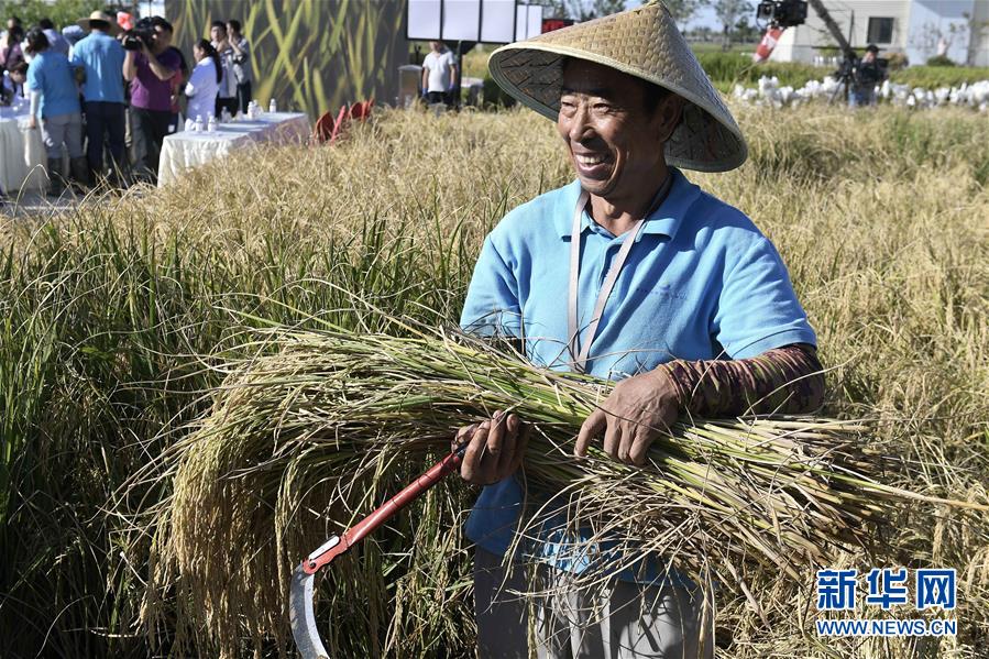 （新華全媒頭條&middot;圖文互動）（2）歷史性飛躍的偉大實踐&mdash;&mdash;中國共產黨引領中國特色社會主義開辟發展新境界述評
