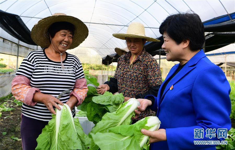 （十九大代表在基層&middot;圖文互動(dòng)）（3）沈騰香：保護(hù)好綠水青山 圓鄉(xiāng)親們小康夢