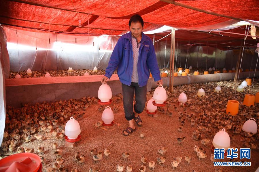 （新華全媒頭條&middot;圖文互動(dòng)）（8）赤水：別了，貧困！