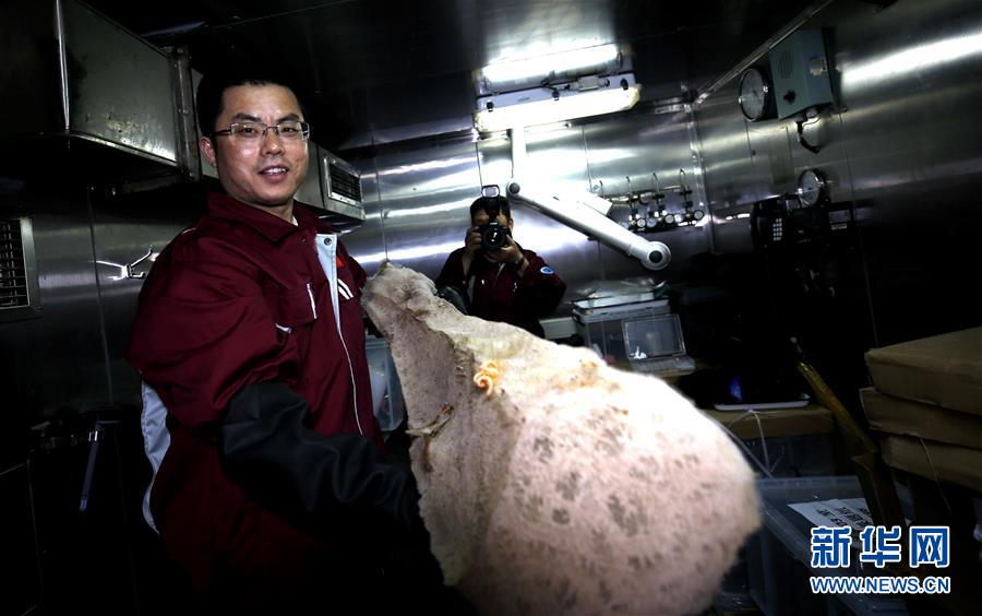 （圖文互動）（6）&ldquo;科學&rdquo;號在麥哲倫海山展開綜合調查