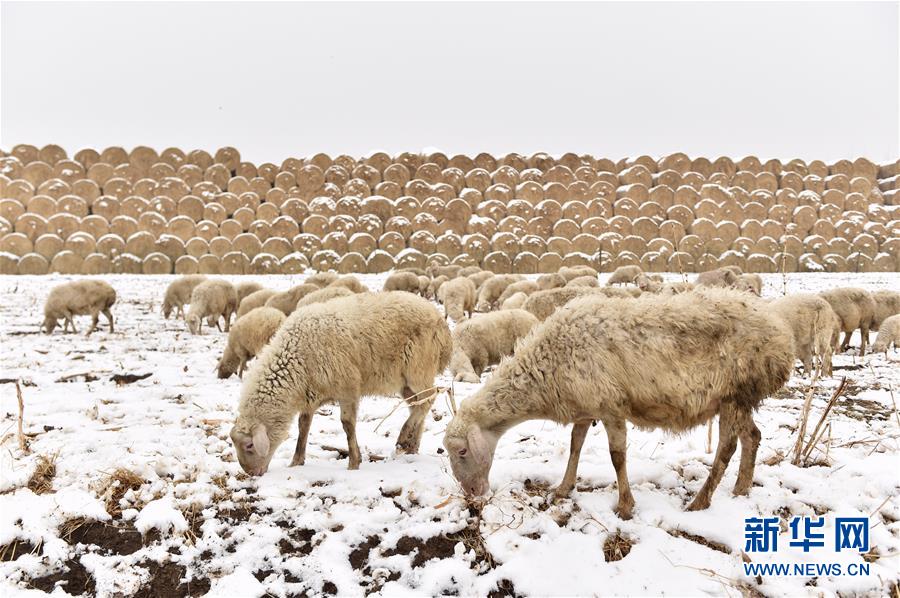 （鏡觀中國&middot;新華網）（11）新華社國內照片一周精選