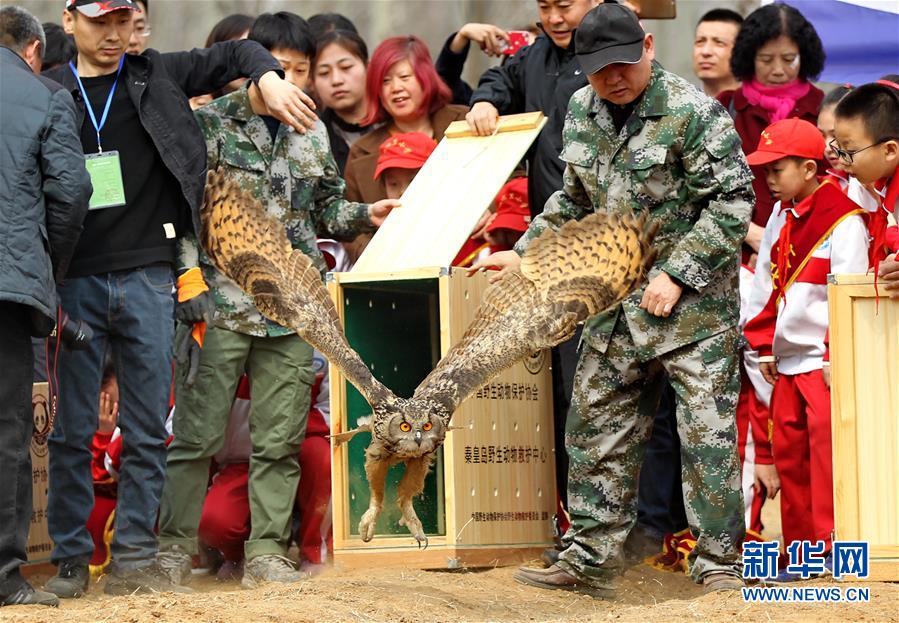 （鏡觀中國&middot;新華網）（14）新華社國內照片一周精選