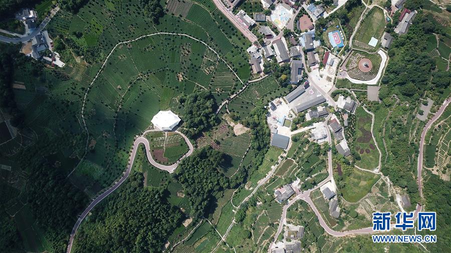 （大江奔流&mdash;&mdash;來自長江經濟帶的報道&middot;圖文互動）（1）在這里，做一個幸福的農民