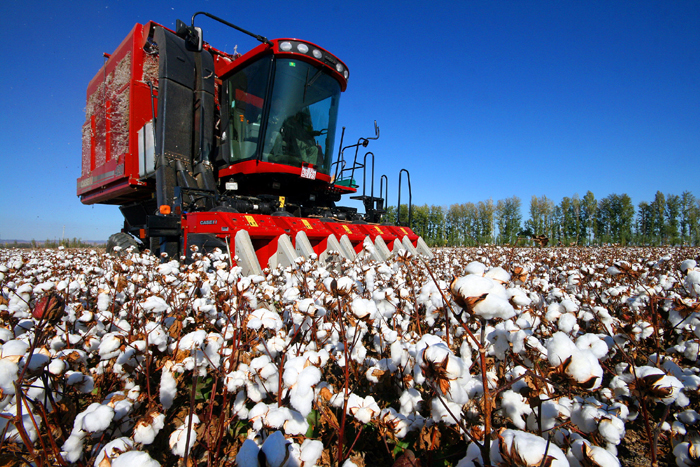 秋收的中國，你想象不到的美！但更美的是&hellip;&hellip;