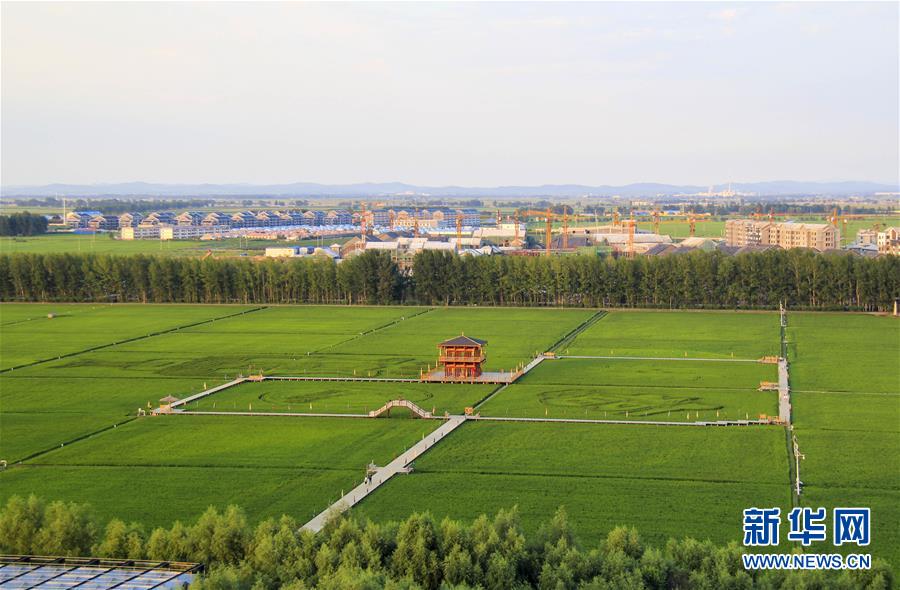 （慶祝改革開放40周年基層行&middot;鄉鎮篇&middot;圖文互動）（3）三產融合培育鄉村振興熱土&mdash;&mdash;吉林孤店子鎮&ldquo;村變城&rdquo;背后的故事