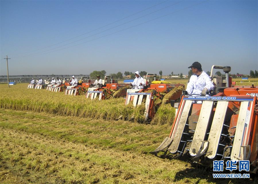 （慶祝改革開放40周年基層行&middot;鄉鎮篇&middot;圖文互動）（6）三產融合培育鄉村振興熱土&mdash;&mdash;吉林孤店子鎮&ldquo;村變城&rdquo;背后的故事
