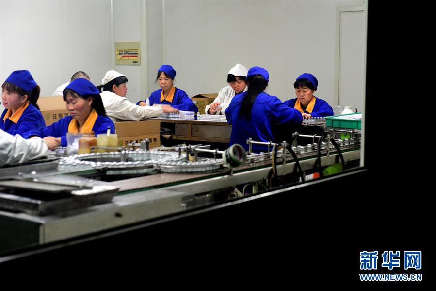 （慶祝改革開放40周年基層行&middot;村莊篇&middot;圖文互動）（4）走向更高質量發展&mdash;&mdash;劉莊的40年&ldquo;幸福路&rdquo;