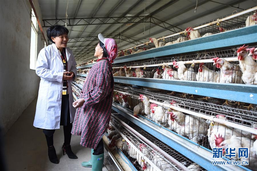 （改革先鋒風采&middot;圖文互動）（2）余留芬：讓人人有事干戶戶都小康