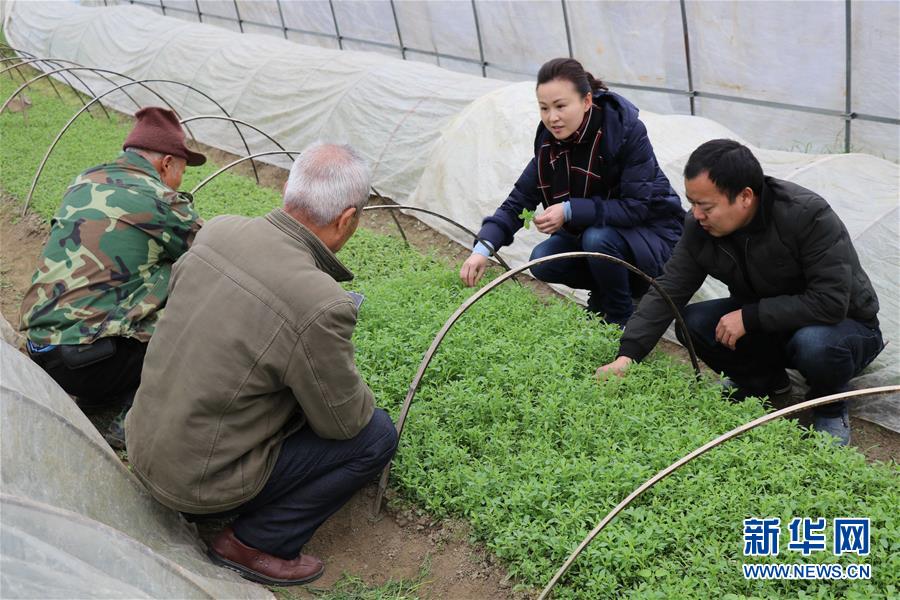 （兩會前夕看落實(shí)&middot;圖文互動）（1）奮力脫貧攻堅(jiān) 生態(tài)追&ldquo;清&rdquo;逐&ldquo;綠&rdquo;&mdash;&mdash;江西落實(shí)習(xí)近平總書記全國兩會重要講話精神紀(jì)實(shí)