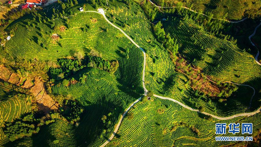 （兩會前夕看落實(shí)&middot;圖文互動）（5）奮力脫貧攻堅(jiān) 生態(tài)追&ldquo;清&rdquo;逐&ldquo;綠&rdquo;&mdash;&mdash;江西落實(shí)習(xí)近平總書記全國兩會重要講話精神紀(jì)實(shí)