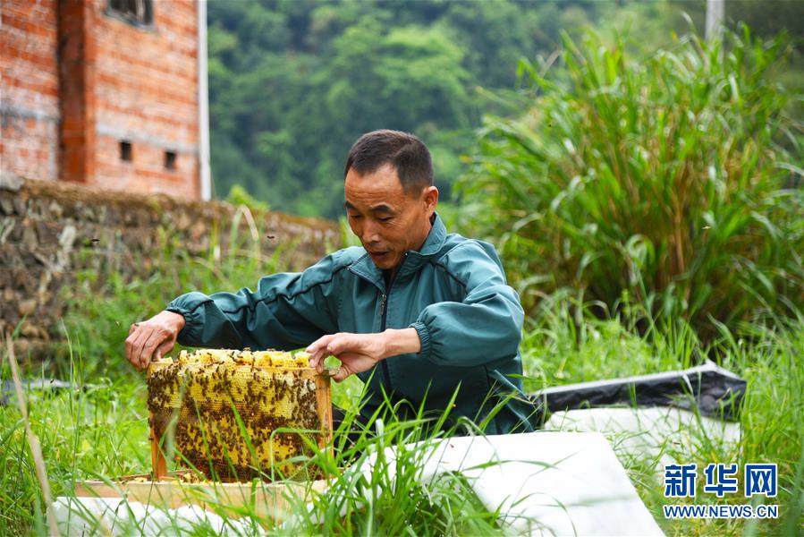 （兩會前夕看落實(shí)&middot;圖文互動）（7）奮力脫貧攻堅(jiān) 生態(tài)追&ldquo;清&rdquo;逐&ldquo;綠&rdquo;&mdash;&mdash;江西落實(shí)習(xí)近平總書記全國兩會重要講話精神紀(jì)實(shí)