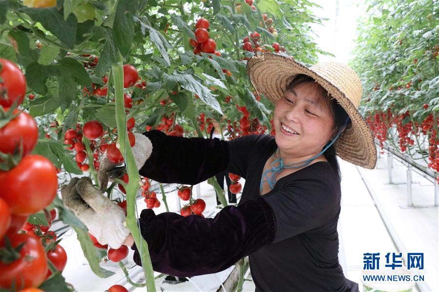 （兩會前夕看落實(shí)&middot;圖文互動）（8）奮力脫貧攻堅(jiān) 生態(tài)追&ldquo;清&rdquo;逐&ldquo;綠&rdquo;&mdash;&mdash;江西落實(shí)習(xí)近平總書記全國兩會重要講話精神紀(jì)實(shí)