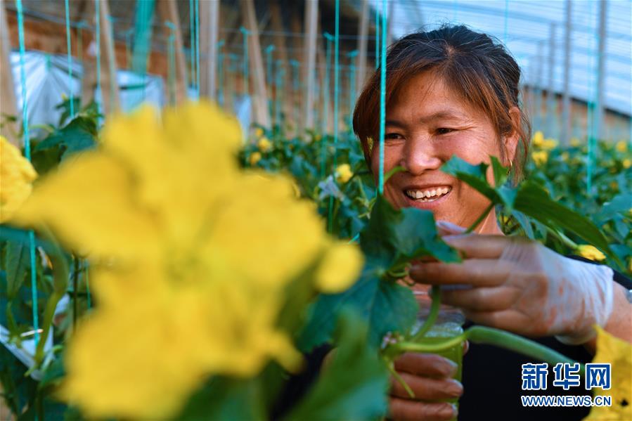 （兩會(huì)前夕看落實(shí)&middot;圖文互動(dòng)）（4）融合&ldquo;三生三美&rdquo; 打造鄉(xiāng)村振興齊魯樣板&mdash;&mdash;山東落實(shí)習(xí)近平總書(shū)記全國(guó)兩會(huì)重要講話精神紀(jì)實(shí)