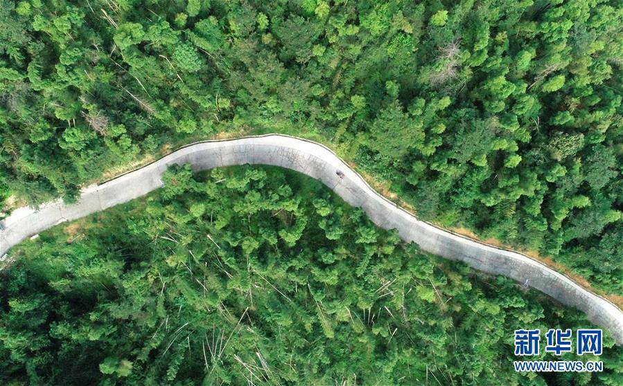 （中國網事&middot;感動2019&middot;圖文互動）（7）鄉村教師高自仁：60多根拐杖，撐起42年教學路
