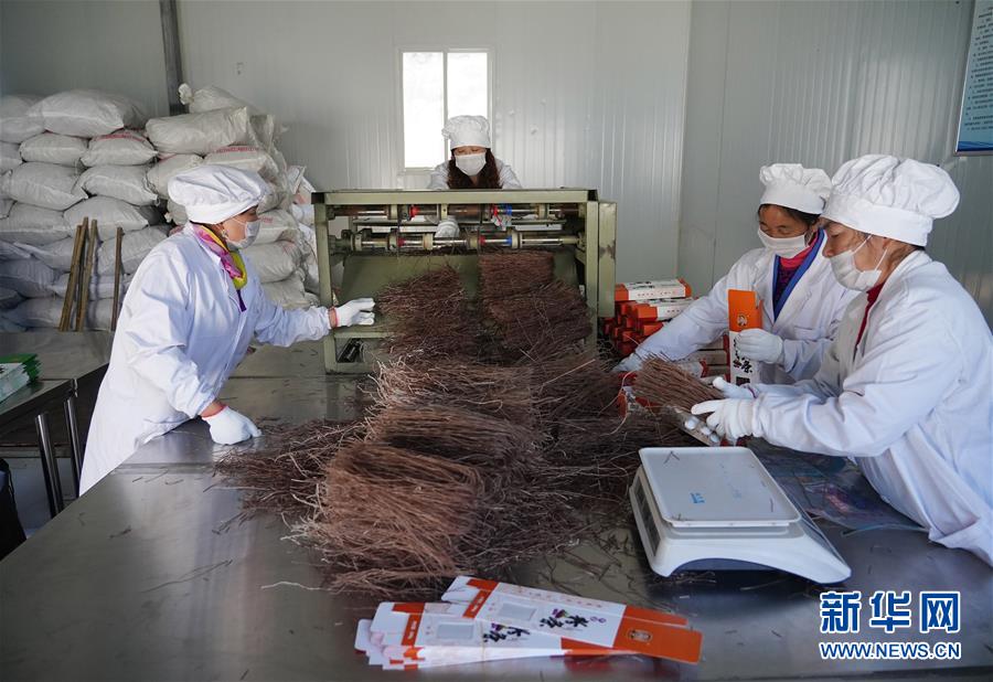 （走基層 聽民聲&middot;圖文互動）（5）電商扶貧 讓陜西山區農業擁抱&ldquo;藍海&rdquo;