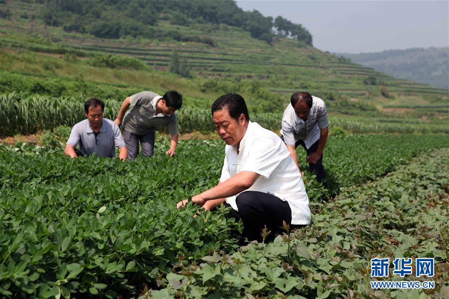 （新華全媒頭條&middot;圖文互動(dòng)）（1）讓奮斗成為人生最亮麗的底色&mdash;&mdash;寫在2019年&ldquo;五一&rdquo;國際勞動(dòng)節(jié)到來之際