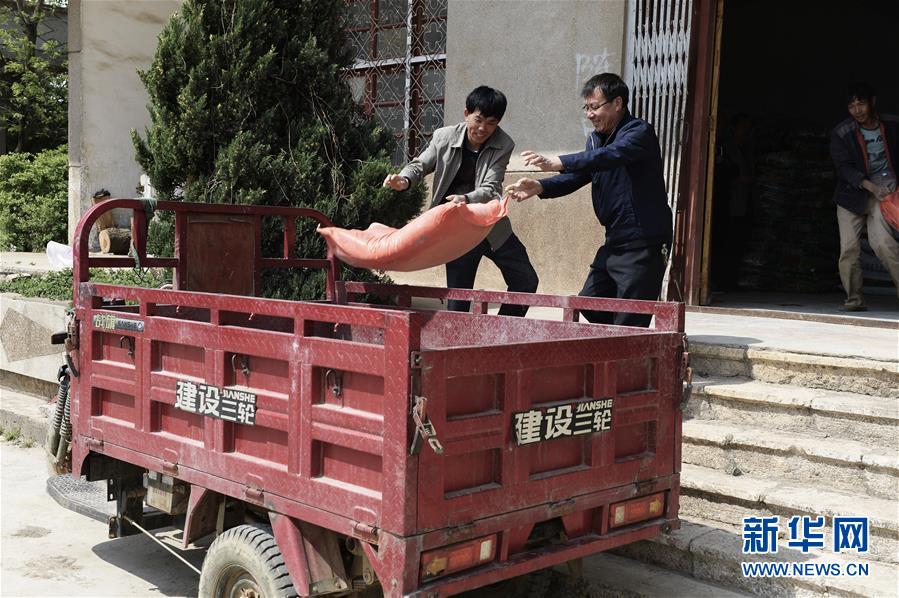 （在習近平新時代中國特色社會主義思想指引下&mdash;&mdash;新時代新作為新篇章&middot;圖文互動）（2）云南省陸良縣：農民給供銷社打&ldquo;白條&rdquo; 