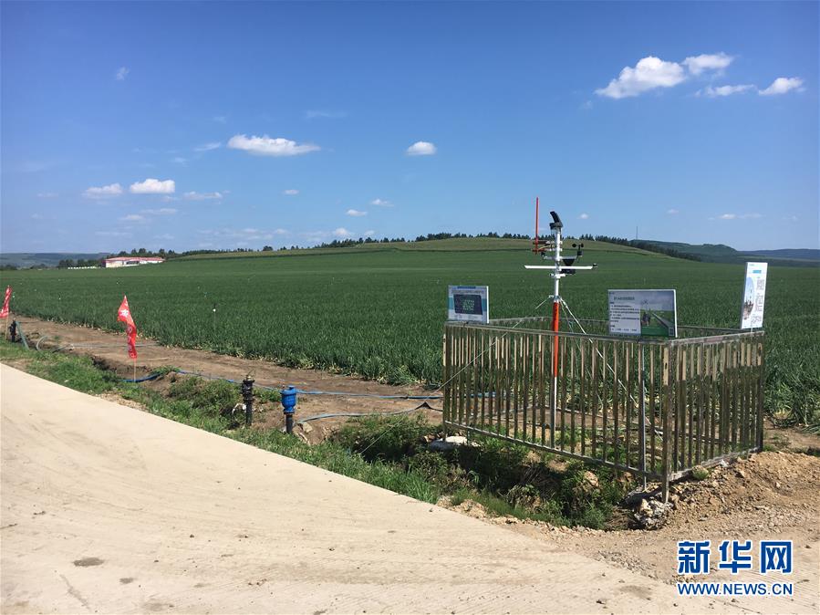 （在習(xí)近平新時(shí)代中國(guó)特色社會(huì)主義思想指引下&mdash;&mdash;新時(shí)代新作為新篇章&middot;圖文互動(dòng)）（3）牡丹江：小果蔬透著三種&ldquo;范兒&rdquo;