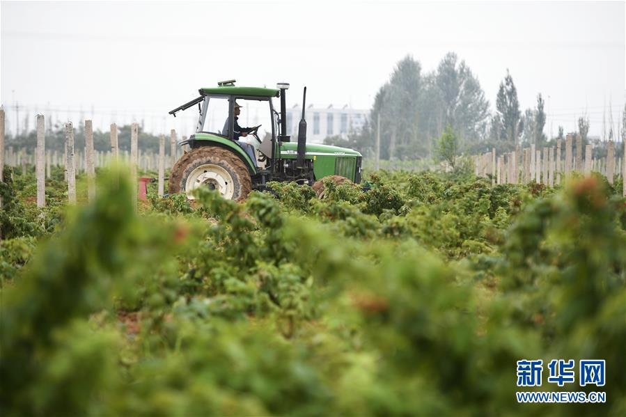 （壯麗70年&middot;奮斗新時代&mdash;&mdash;共和國發展成就巡禮&middot;圖文互動）（10）生態美、百姓富&mdash;&mdash;品讀嶄新&ldquo;寧夏畫卷&rdquo;