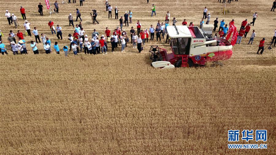 （壯麗70年&middot;奮斗新時代&mdash;&mdash;共和國發展成就巡禮）（3）看今朝齊風魯韻　七十載芳華正勁&mdash;&mdash;新中國成立以來山東領先發展紀實