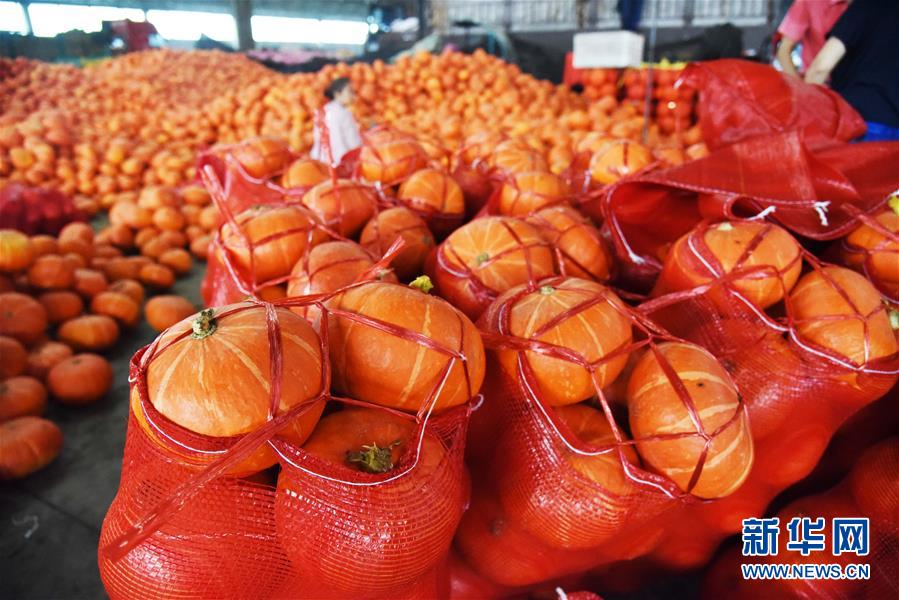 （壯麗70年&middot;奮斗新時代&mdash;&mdash;共和國發展成就巡禮）（6）看今朝齊風魯韻　七十載芳華正勁&mdash;&mdash;新中國成立以來山東領先發展紀實