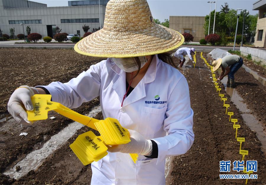 （壯麗70年&middot;奮斗新時代&mdash;&mdash;共和國發展成就巡禮）（10）看今朝齊風魯韻　七十載芳華正勁&mdash;&mdash;新中國成立以來山東領先發展紀實
