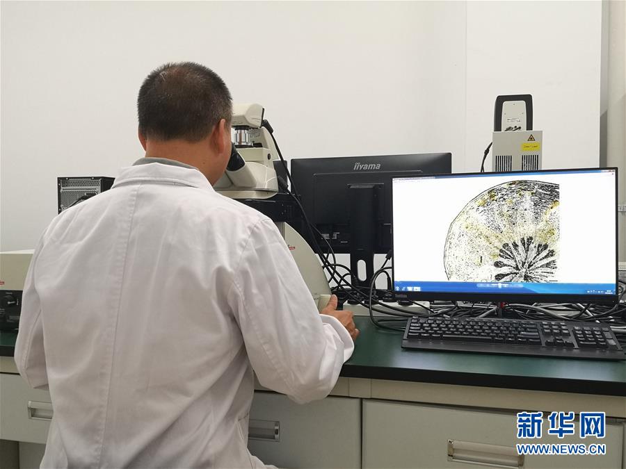 （新華調查&middot;新中國考古重大發現&middot;圖文互動）（5）海昏侯：不僅僅是&ldquo;黃金大墓&rdquo;