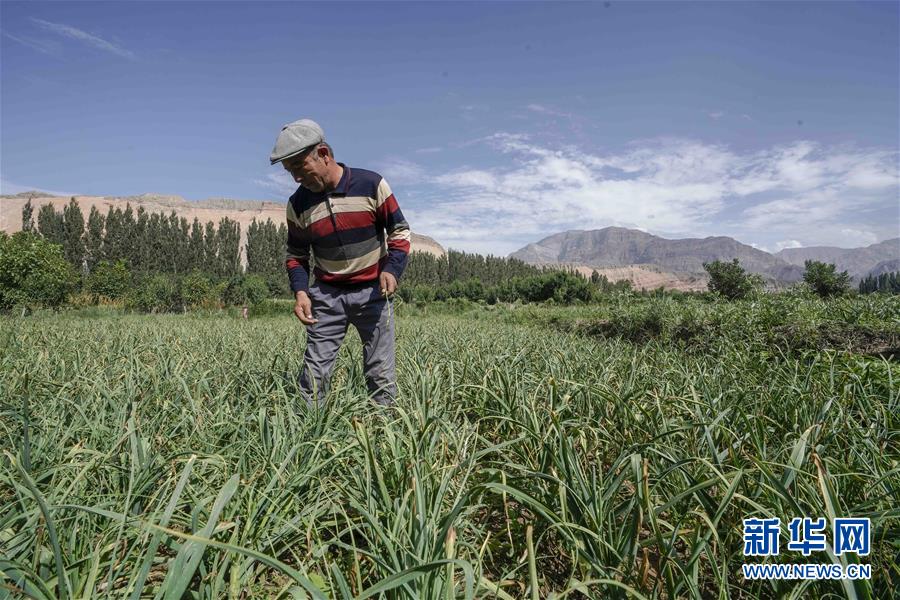 （決戰決勝脫貧攻堅&middot;圖文互動）（6）記者手記：尋訪昆侖&ldquo;桃花源&rdquo;的&ldquo;祛病&rdquo;良方