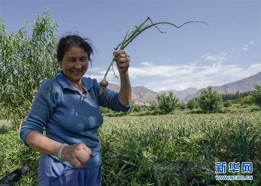 （決戰決勝脫貧攻堅&middot;圖文互動）（1）記者手記：尋訪昆侖&ldquo;桃花源&rdquo;的&ldquo;祛病&rdquo;良方