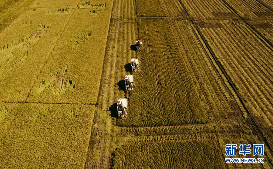 （新華全媒頭條&middot;圖文互動(dòng)）（5）紅色的傳承，藍(lán)圖的起點(diǎn)&mdash;&mdash;新中國(guó)孕育與發(fā)展的&ldquo;東北記憶&rdquo;