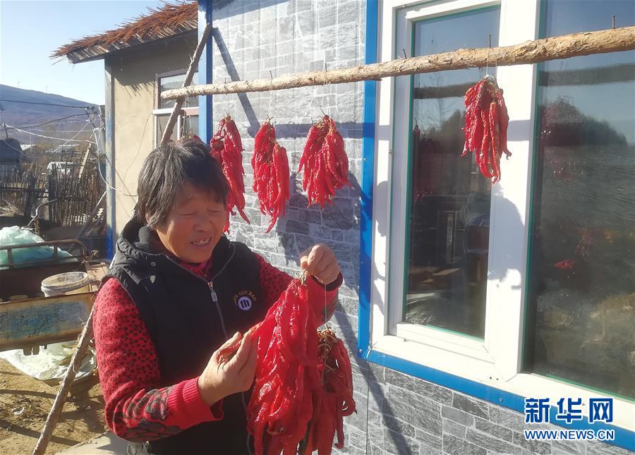 （在習近平新時代中國特色社會主義思想指引下&mdash;&mdash;新時代新作為新篇章&middot;總書記關(guān)心的百姓身邊事&middot;圖文互動）（3）一個貧困山村的振興新動能&mdash;&mdash;小故事里的大情懷之五