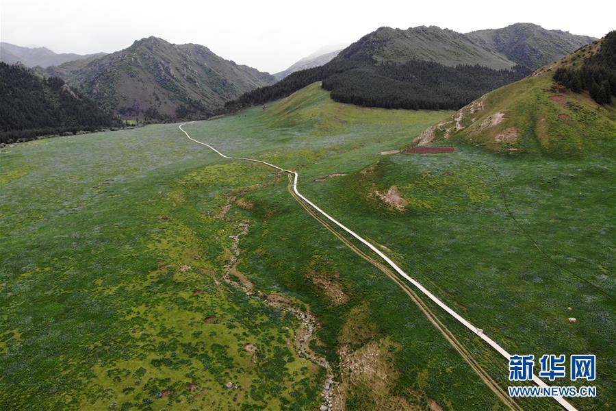 （新華全媒頭條&middot;圖文互動(dòng)）（10）綠色的啟示&mdash;&mdash;西部地區(qū)生態(tài)問題典型個(gè)案再調(diào)查