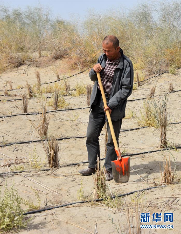 （新華全媒頭條&middot;圖文互動）（4）大漠小城的絕地反擊