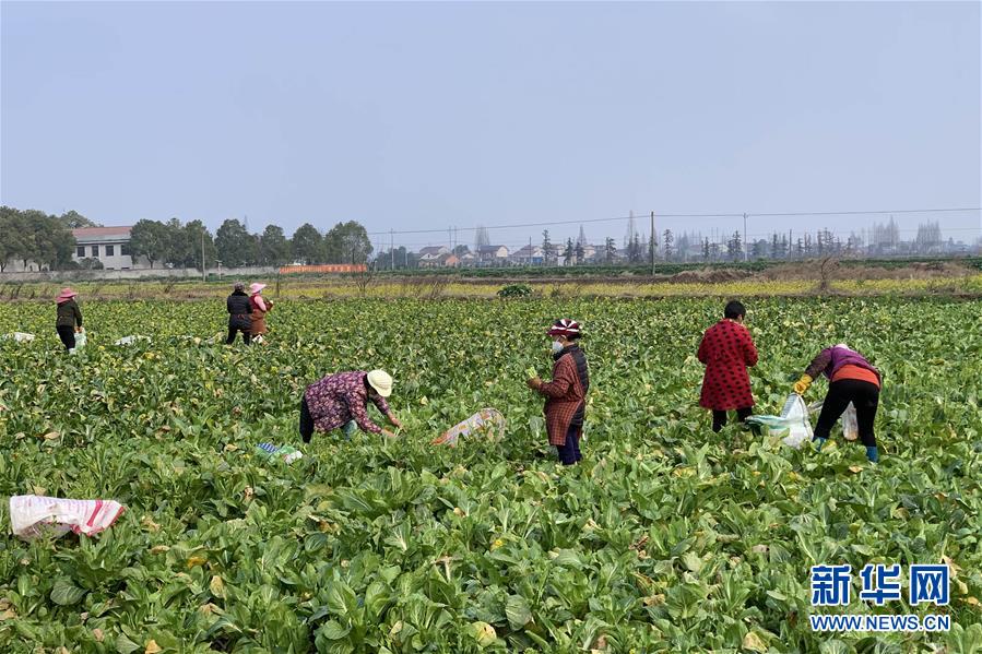 （新華全媒頭條&middot;圖文互動）（4）努力保持生產生活平穩有序&mdash;&mdash;抓緊復工復產穩定經濟運行掃描