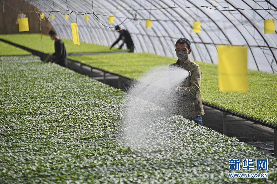 （新華全媒頭條&middot;圖文互動）（12）磨難壓不垮 奮起正當(dāng)時&mdash;&mdash;習(xí)近平總書記在統(tǒng)籌推進(jìn)新冠肺炎疫情防控和經(jīng)濟(jì)社會發(fā)展工作部署會議上的重要講話振奮人心凝聚力量